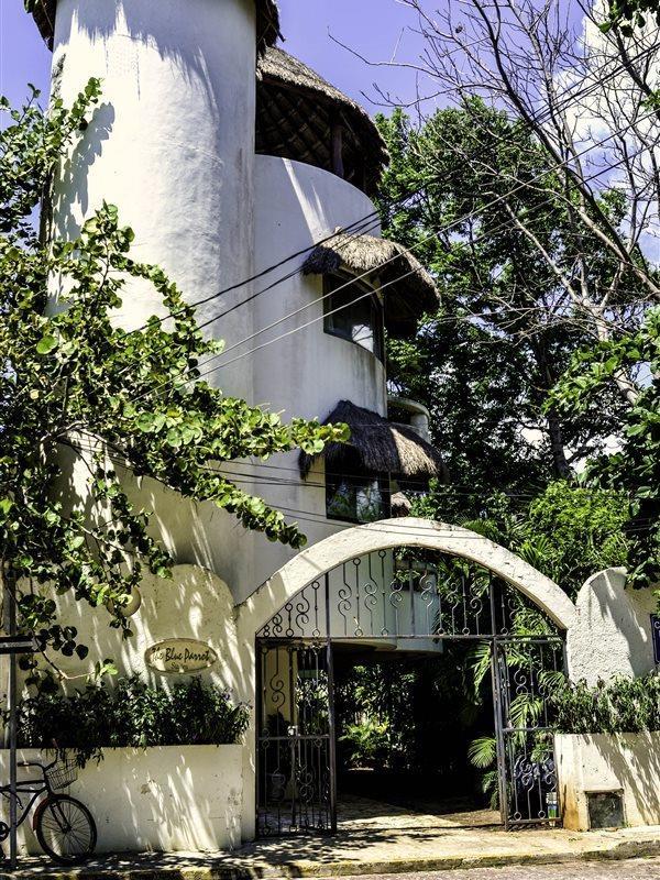 Blue Parrot Suites Playa del Carmen Exterior foto