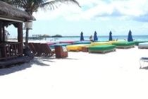 Blue Parrot Suites Playa del Carmen Exterior foto